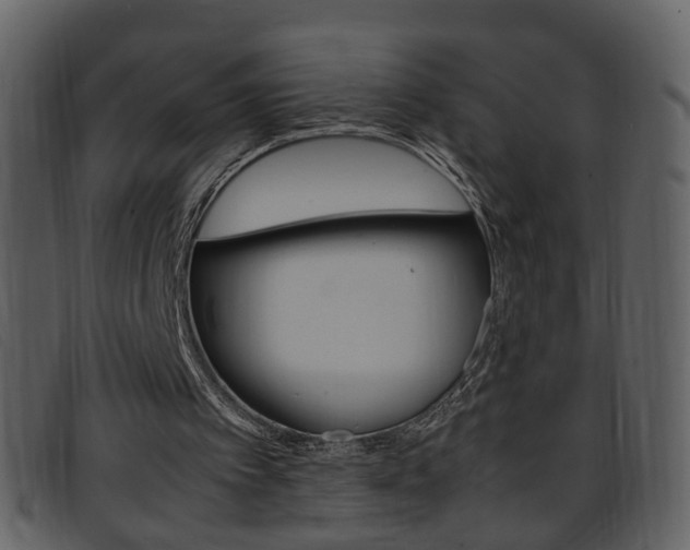 X0000096650097200802050943