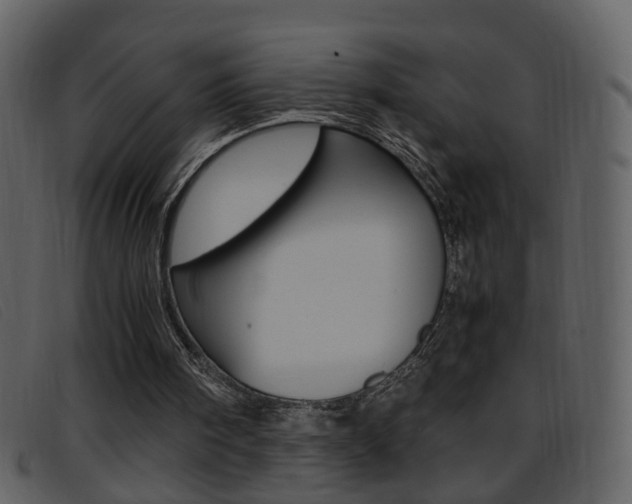 X0000096650098200802050943