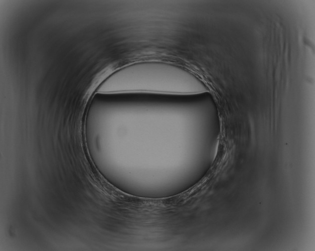 X0000096650099200802050943