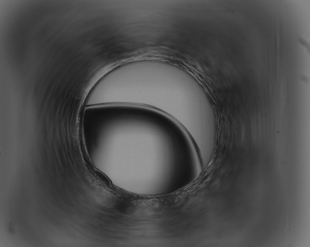 X0000096650100200802050943