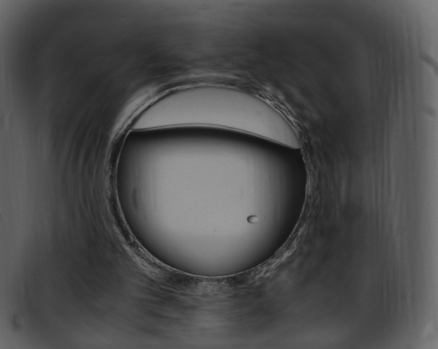 X0000096650101200802050943