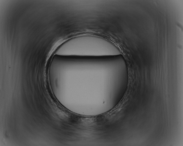 X0000096650102200802050943