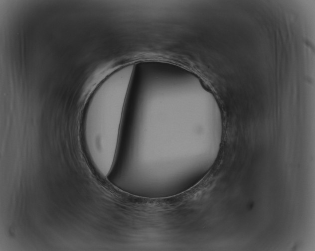 X0000096650103200802050943