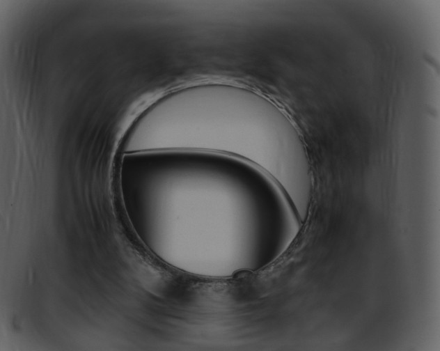 X0000096650104200802050943