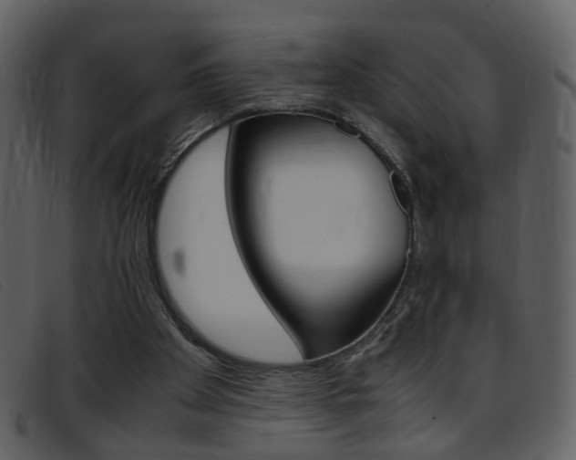 X0000096650105200802050943