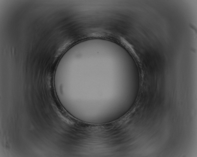 X0000096650106200802050943