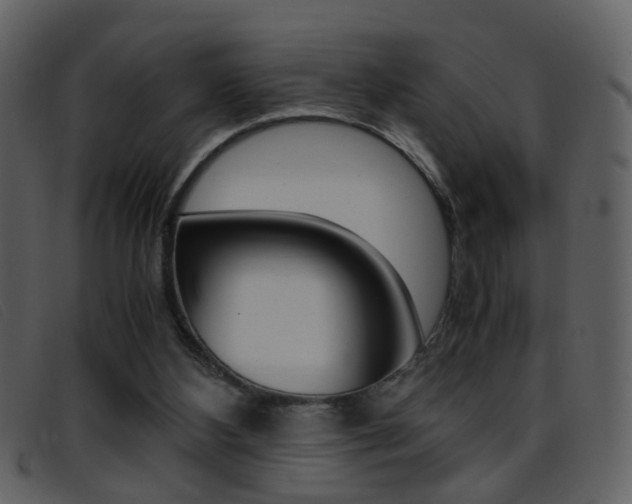 X0000096650108200802050943