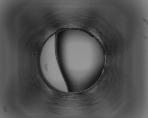 X0000096650109200802050943
