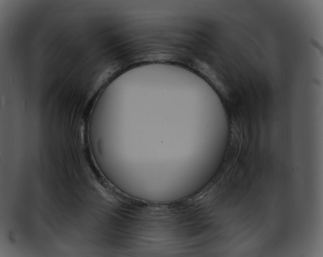 X0000096650110200802050943