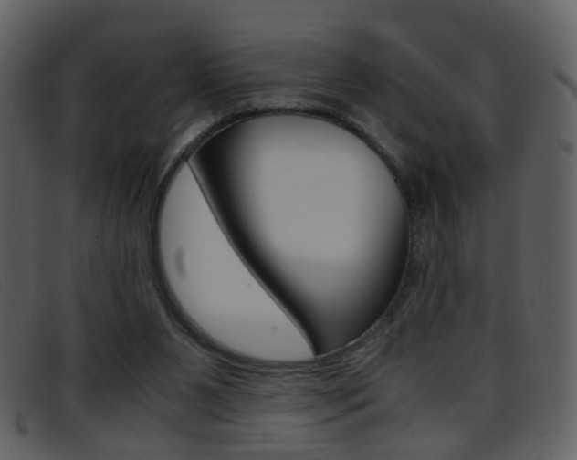 X0000096650111200802050943