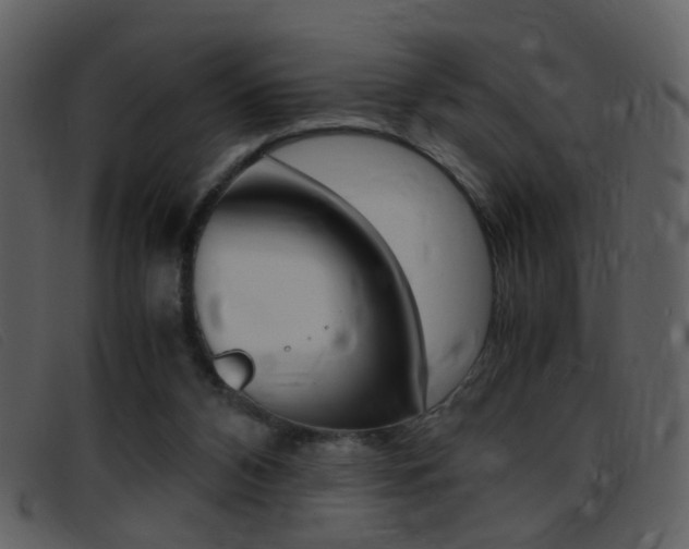 X0000096650112200802050943