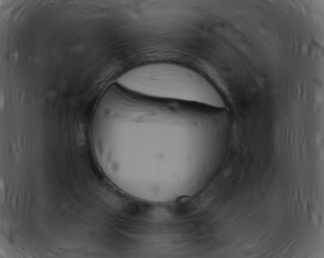 X0000096650114200802050943