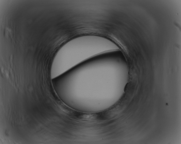 X0000096650117200802050943