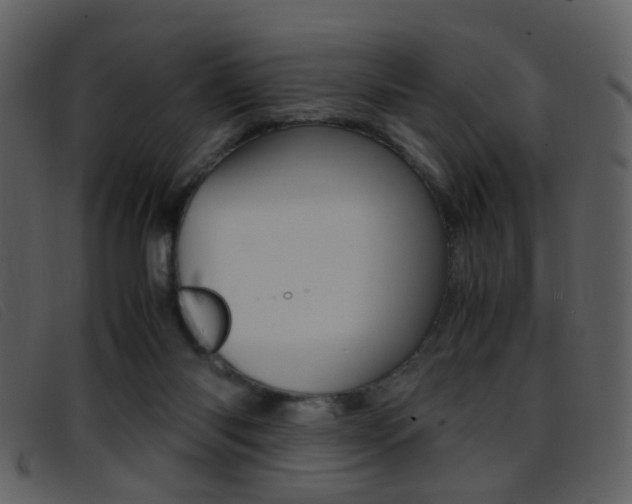 X0000096650118200802050943