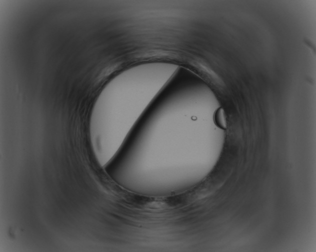 X0000096650119200802050943