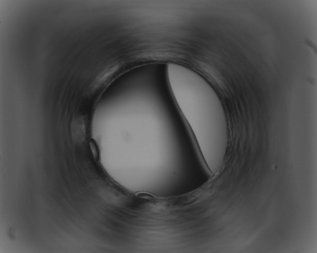X0000096650120200802050943