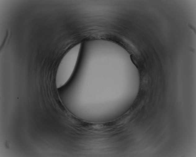 X0000096650121200802050943