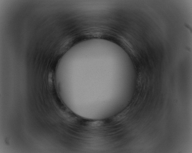X0000096650122200802050943