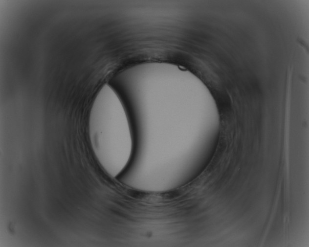 X0000096650123200802050943