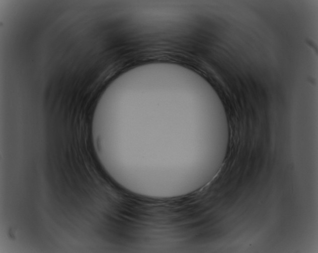 X0000096650124200802050943