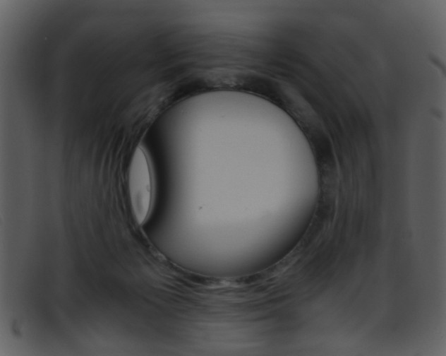 X0000096650125200802050943