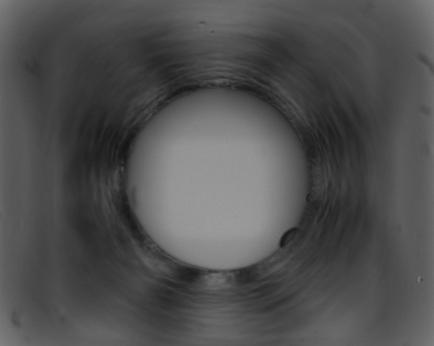 X0000096650126200802050942