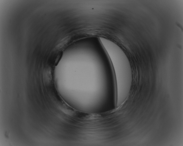 X0000096650128200802050942
