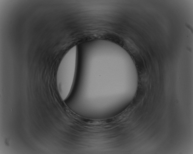 X0000096650129200802050942