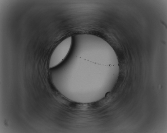 X0000096650131200802050942