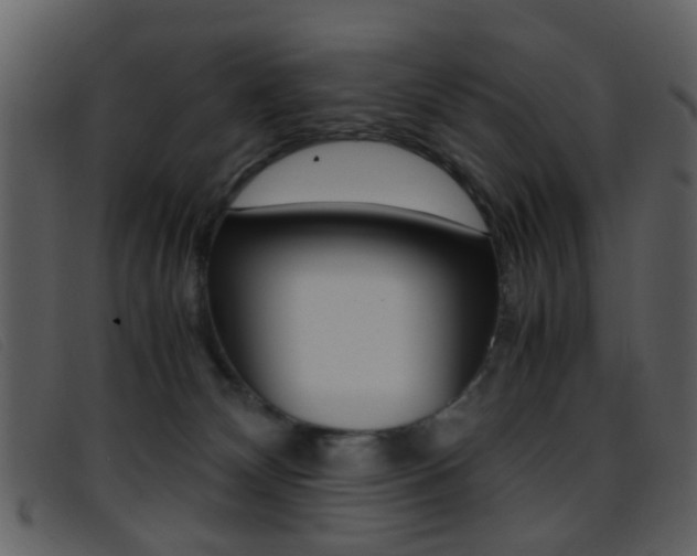 X0000096650132200802050942