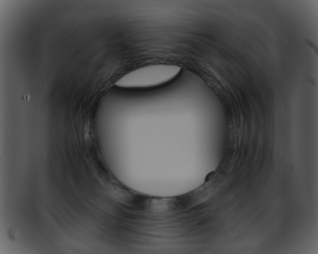 X0000096650134200802050942