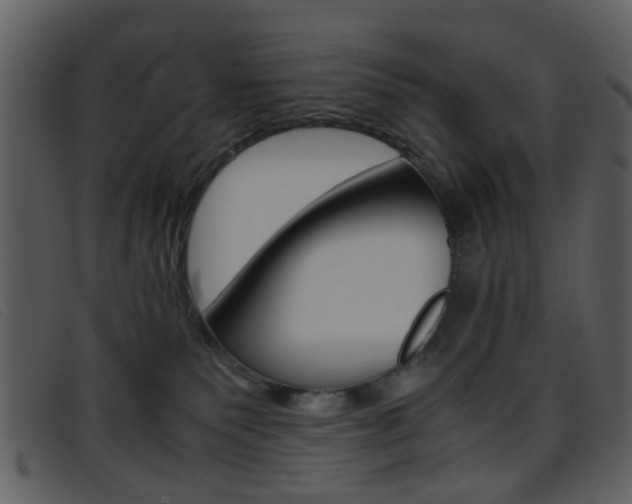 X0000096650135200802050942