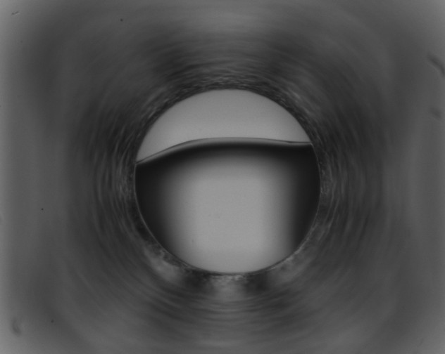 X0000096650136200802050942