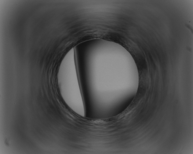 X0000096650137200802050942