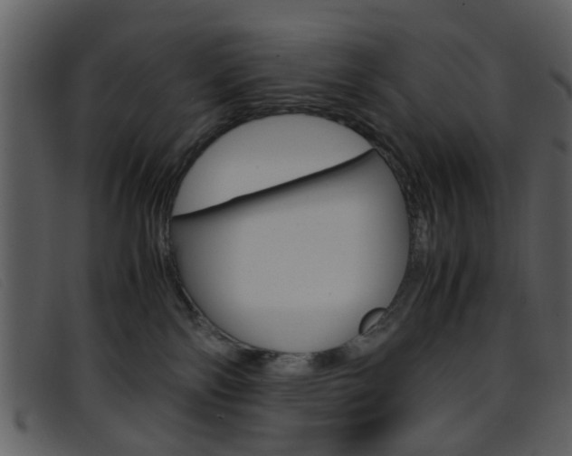 X0000096650138200802050942