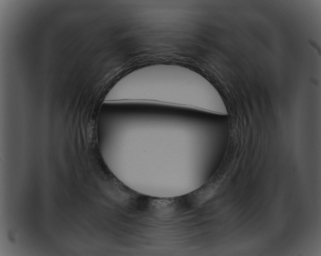 X0000096650139200802050942