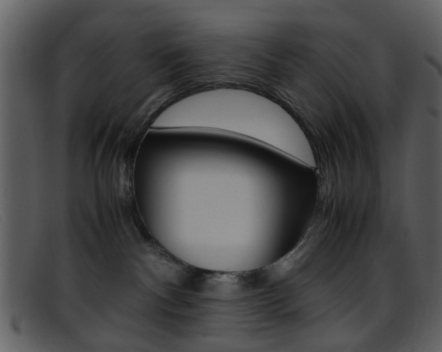 X0000096650140200802050942