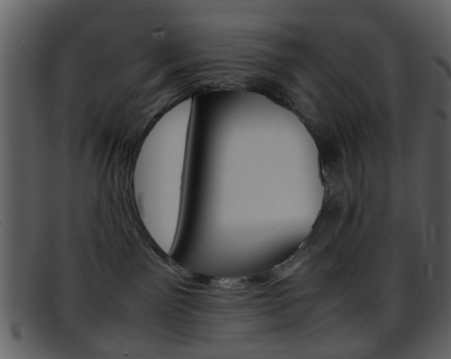 X0000096650141200802050942