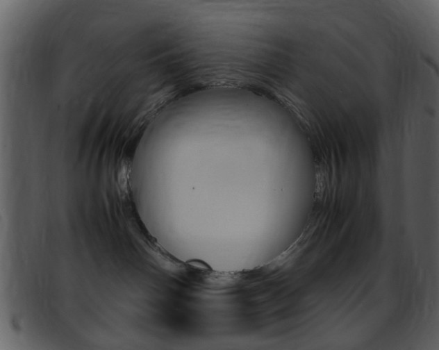 X0000096650142200802050942