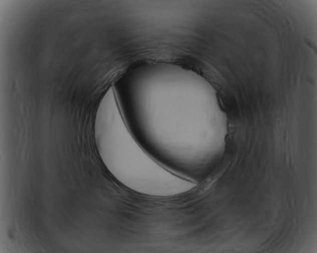 X0000096650143200802050942