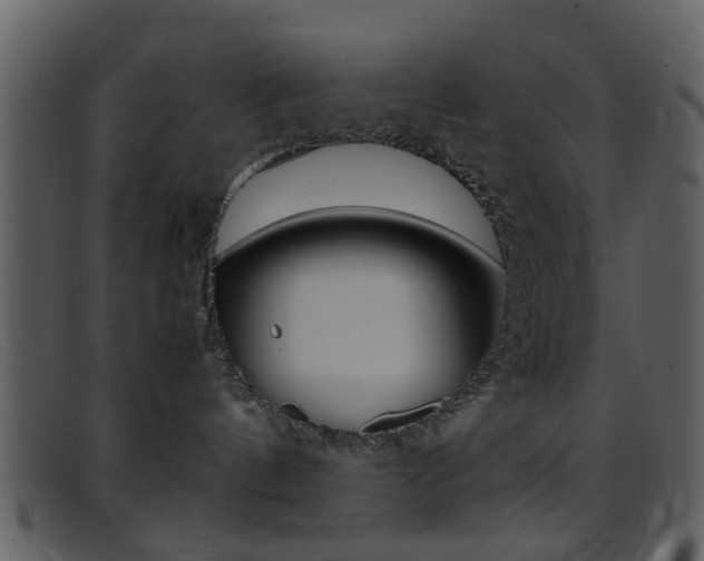 X0000096650144200802050942