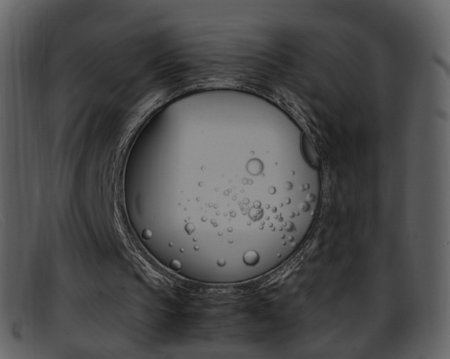 X0000096650145200802050942