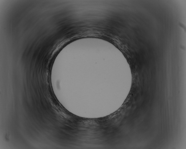 X0000096650146200802050942