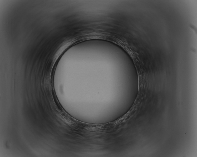 X0000096650147200802050942