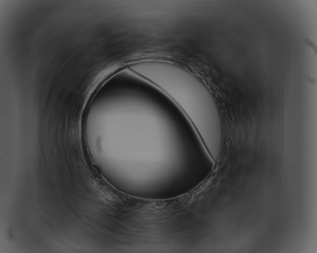 X0000096650148200802050942