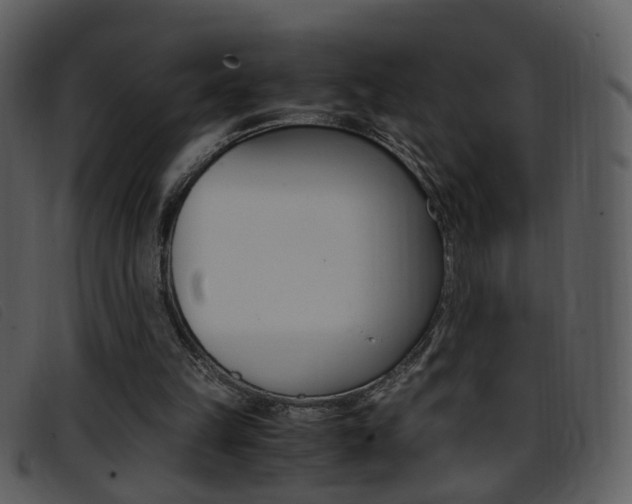 X0000096650149200802050942