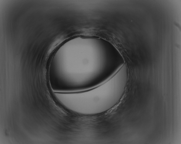 X0000096650150200802050942