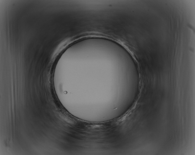 X0000096650151200802050942