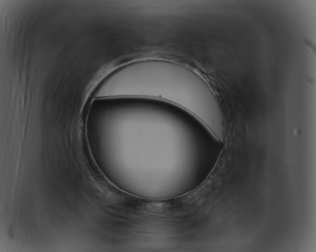 X0000096650152200802050942