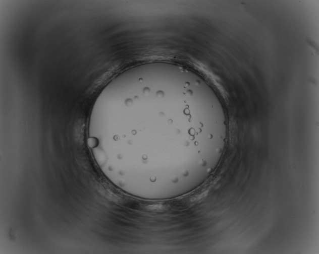 X0000096650153200802050942